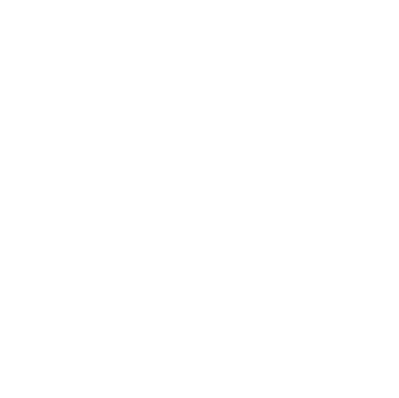 Saris Print Logo Symbol weiss